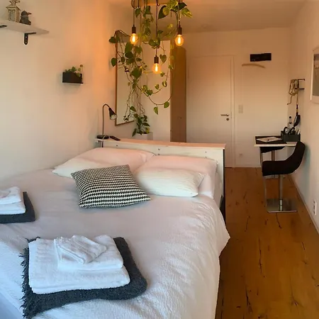 Oase Der Gemuetlichkeit An Den N בית הארחה רדולפצל אם בודנזי