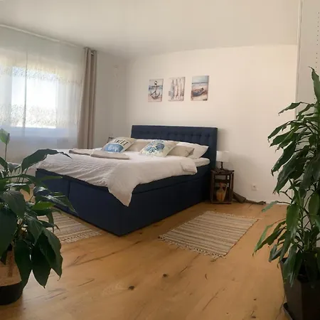 Oase Der Gemuetlichkeit Gæstehus *